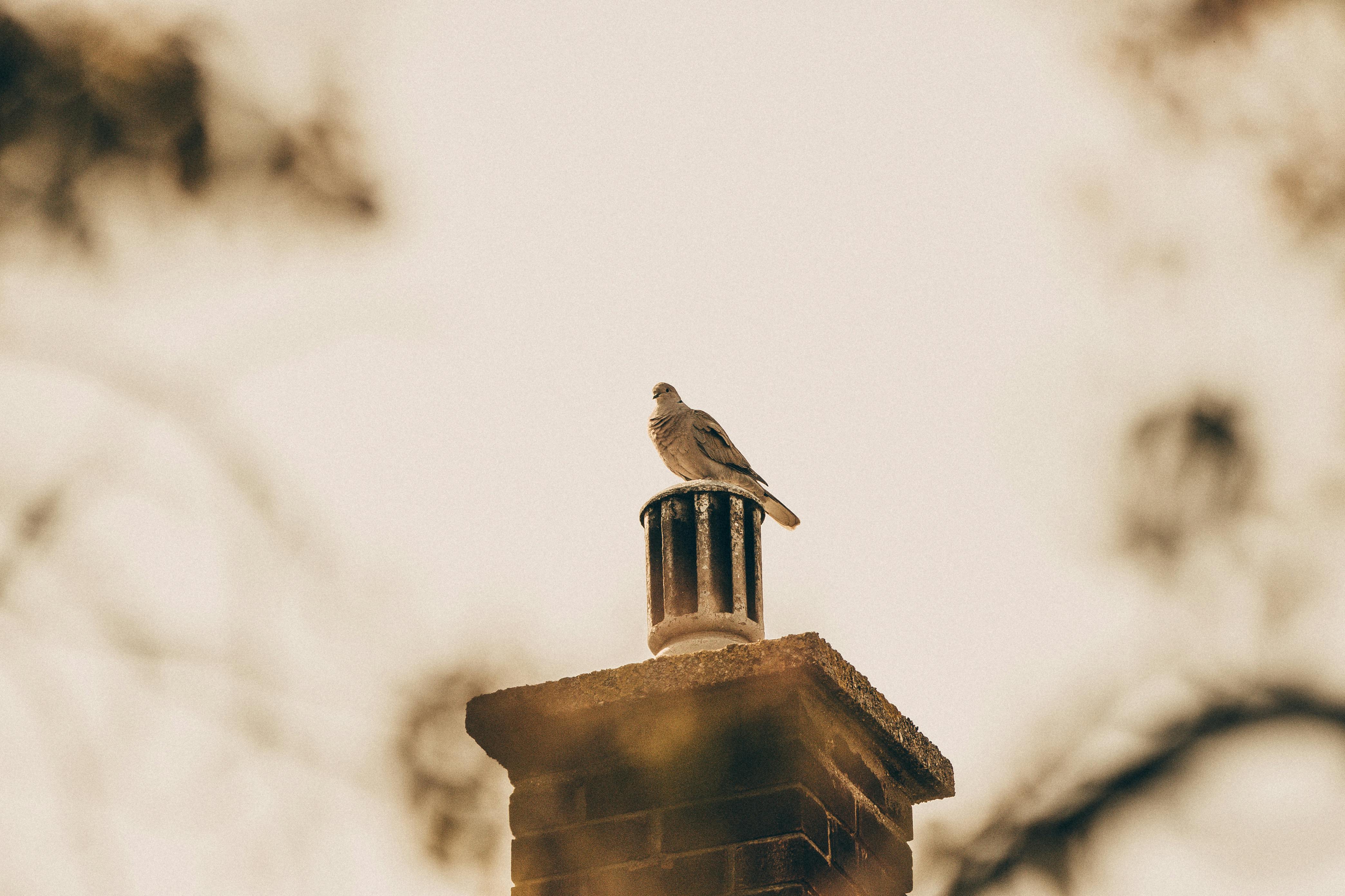 Expert Chimney Cap Installation in Benbrook, Texas